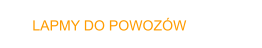 LAPMY DO POWOZW