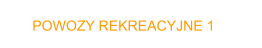 POWOZY REKREACYJNE 1
