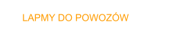 LAPMY DO POWOZW
