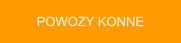 POWOZY KONNE